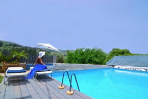 Villa Olive Tree with Private Pool